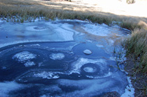 frozen Cold Boiling Lake bubbles in October