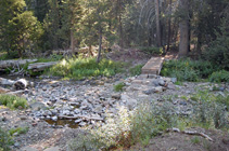 lower Grassy Creek footbridge