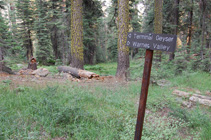 trail junction in Red firs