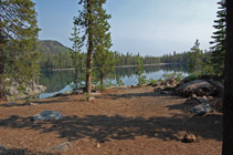 campsite at Triangle Lake