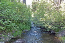 Benner Creek at Juniper Lake Road